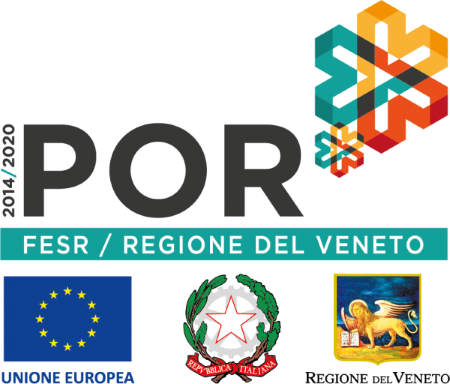 PROGETTO REGIONE VENETO  2020